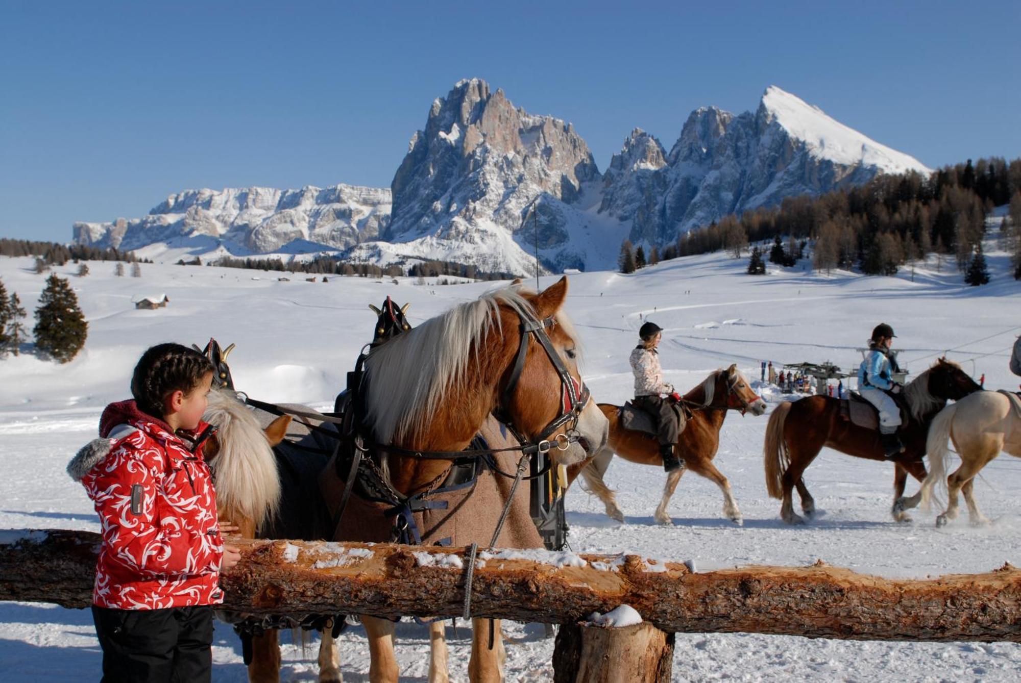 Dolomites Living Hotel Tirler Алпе ди Сиуси Екстериор снимка